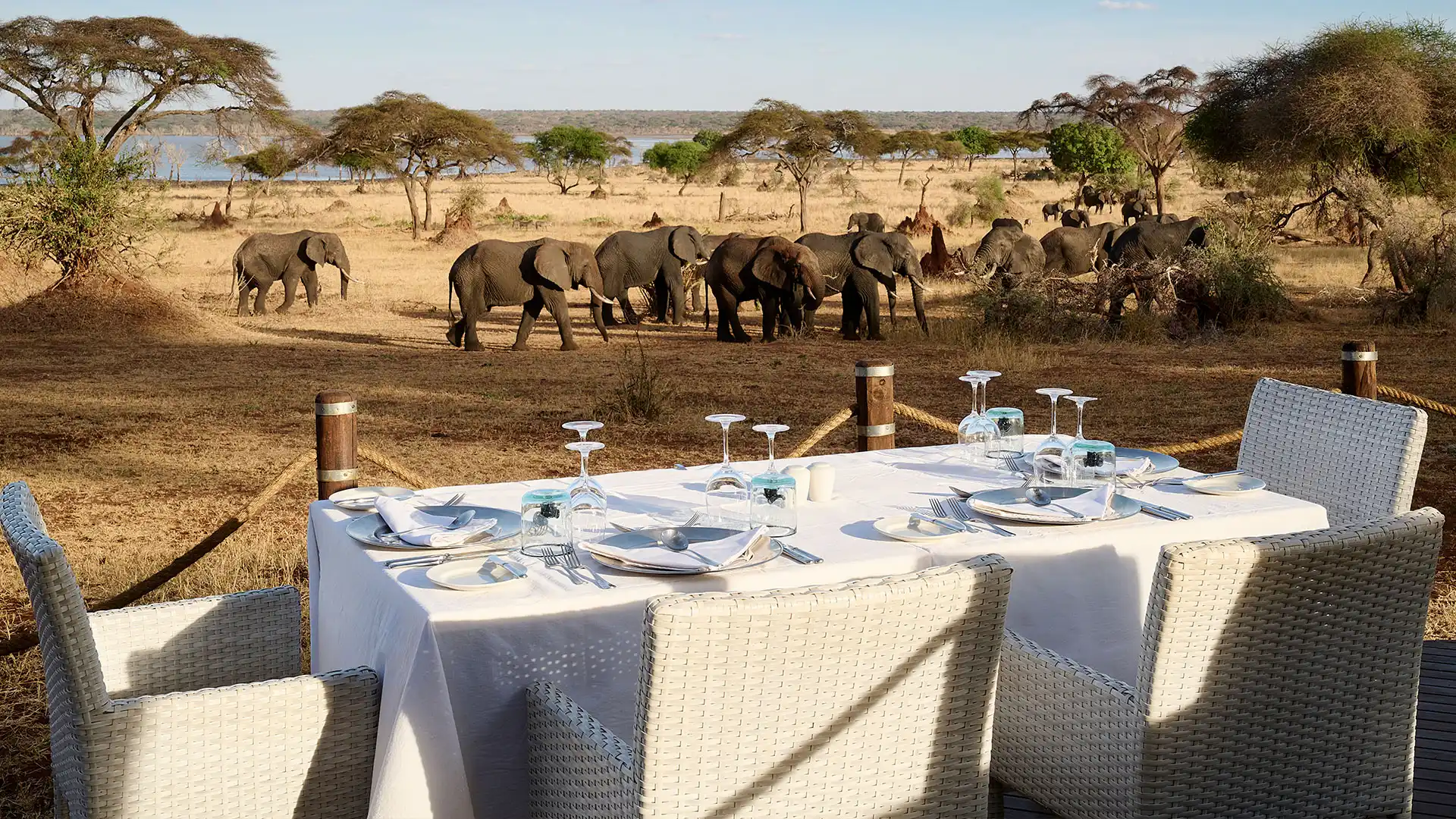 xperience Tanzania's premier glamping destinations. Discover luxury safari camps and lodges offering unparalleled wildlife encounters and comfort. Luxury Glamping, Tanzania, Safari Camps, Lodges, Wildlife, Destinations, Explore Tanzania, Tanzania Itineraries, East Africa,